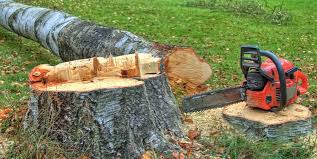 Best Firewood Processing and Delivery  in Verona, MS